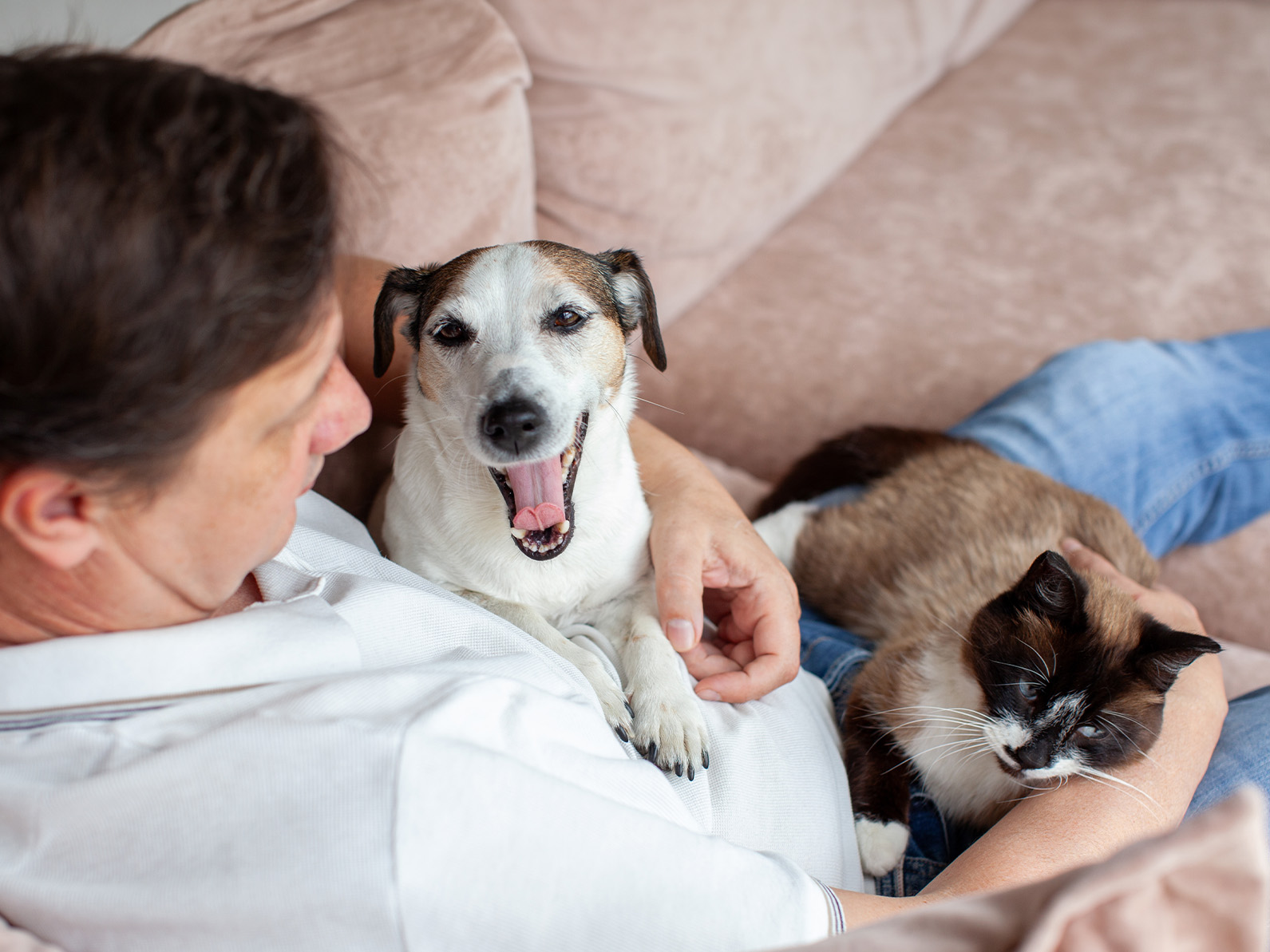 <span class="yellowtxt"> Helping Pets,</span>  One Door at a Time
